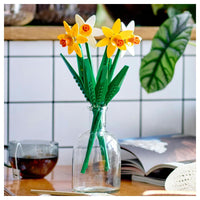 Botanicals - Daffodils - (40747)