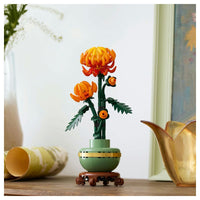 Botanical - Chrysanthemum - (10368)