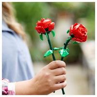 Botanical - Roses - (40460)