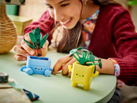 Lego Botanical - Happy Plants (10349)