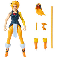 MOTU x Thundercats - Cheetara