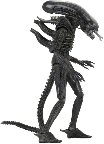 Neca - 40th Anniversary Alien 'Big Chap' & Egg - 9 inches
