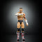 WWE Elite - CM Punk (Damaged Packaging)