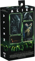 Neca - 40th Anniversary Alien 'Big Chap' & Egg - 9 inches