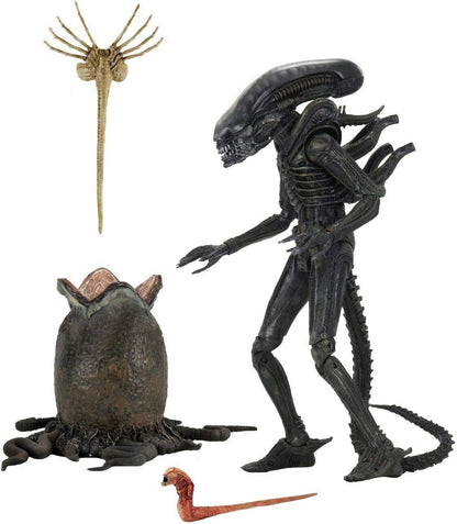 Neca - 40th Anniversary Alien 'Big Chap' & Egg - 9 inches