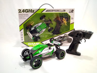 RW Toys 1/20 R/C High Speed Buggy GO!