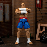 Street Fighter - Sagat