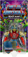 Turtles of Grayskull - Beast Man