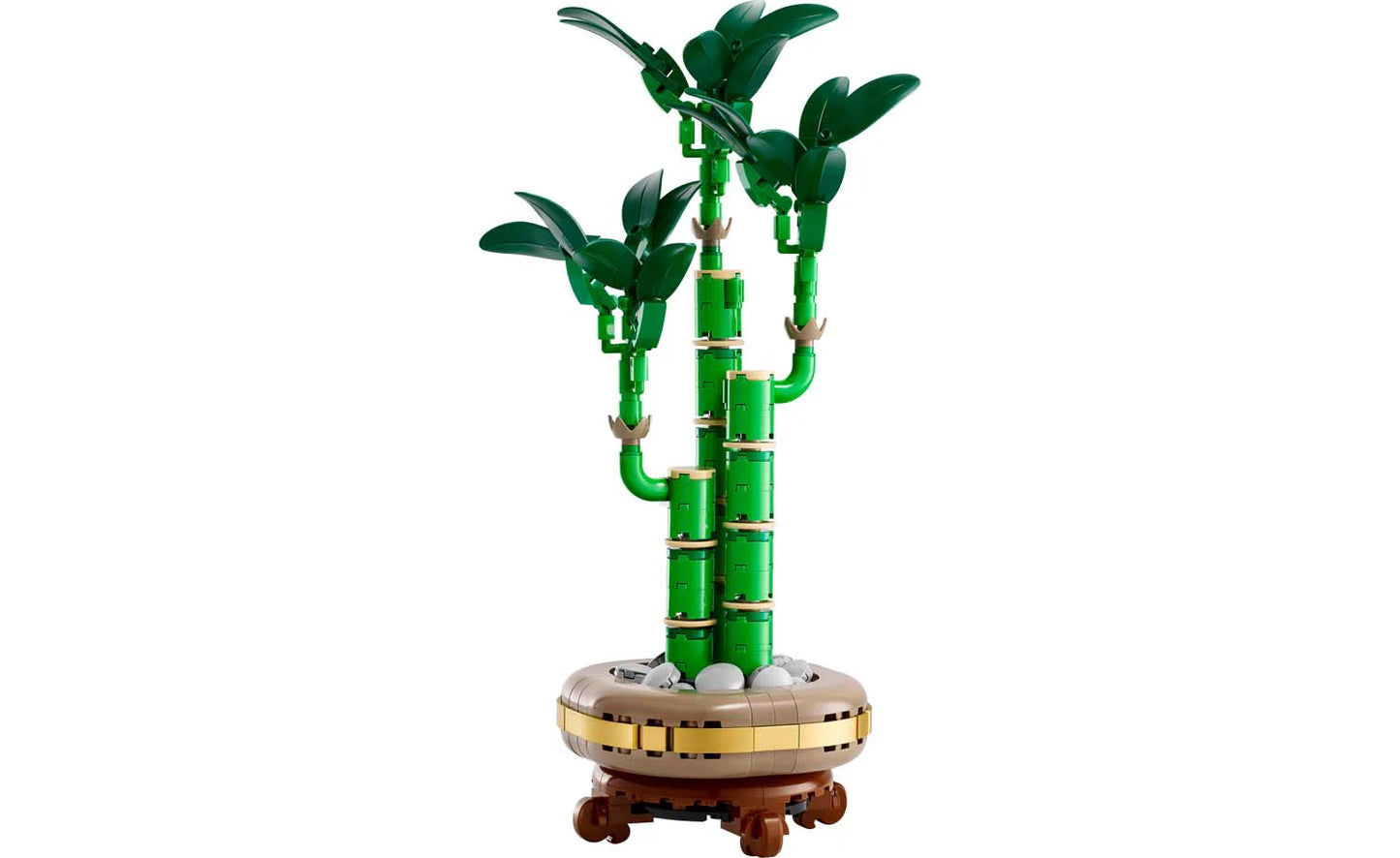 Botanicals - Lucky Bamboo - (10344)