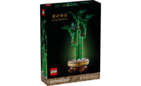 Botanicals - Lucky Bamboo - (10344)