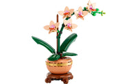 Botanicals - Mini Orchid - (10343)