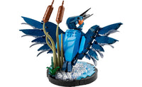 Icons - Kingfisher Bird - (10331)