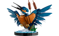 Icons - Kingfisher Bird - (10331)