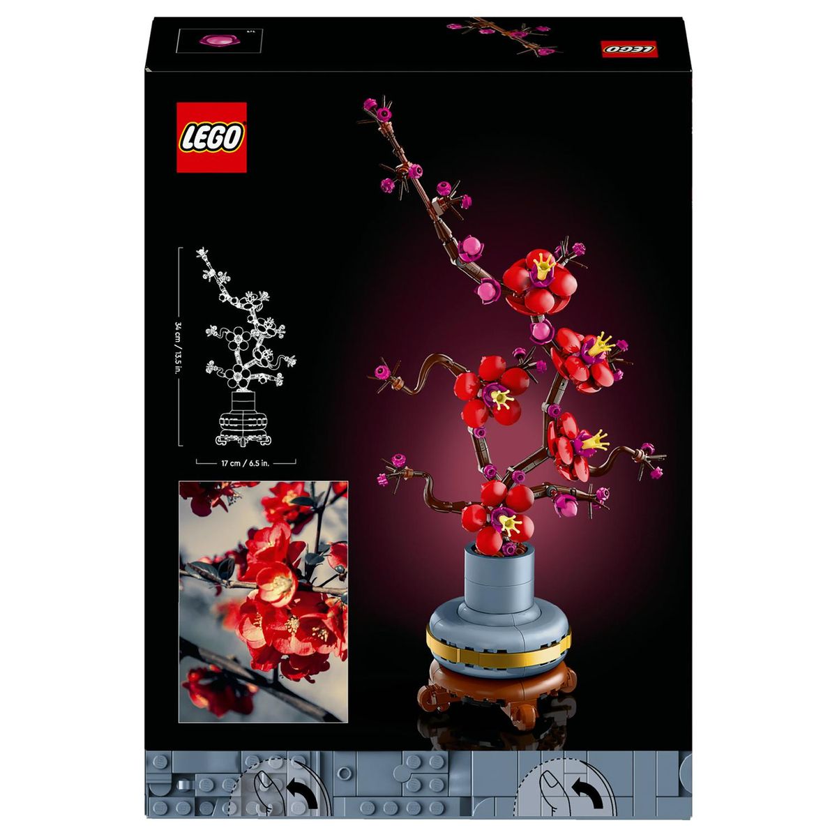 Botanical - Plum Blossom - (10369)