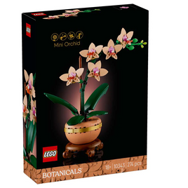 Botanicals - Mini Orchid - (10343)