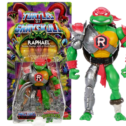 Turtles of Grayskull - Raphael Snake Hunter